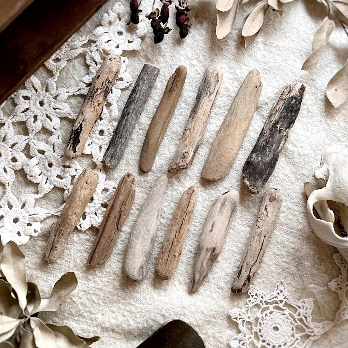 Natural Oregon Driftwood Collection – No. 10