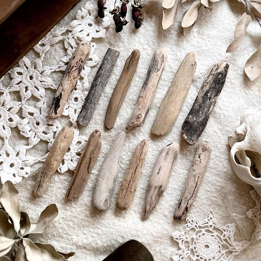 Natural Oregon Driftwood Collection – No. 10