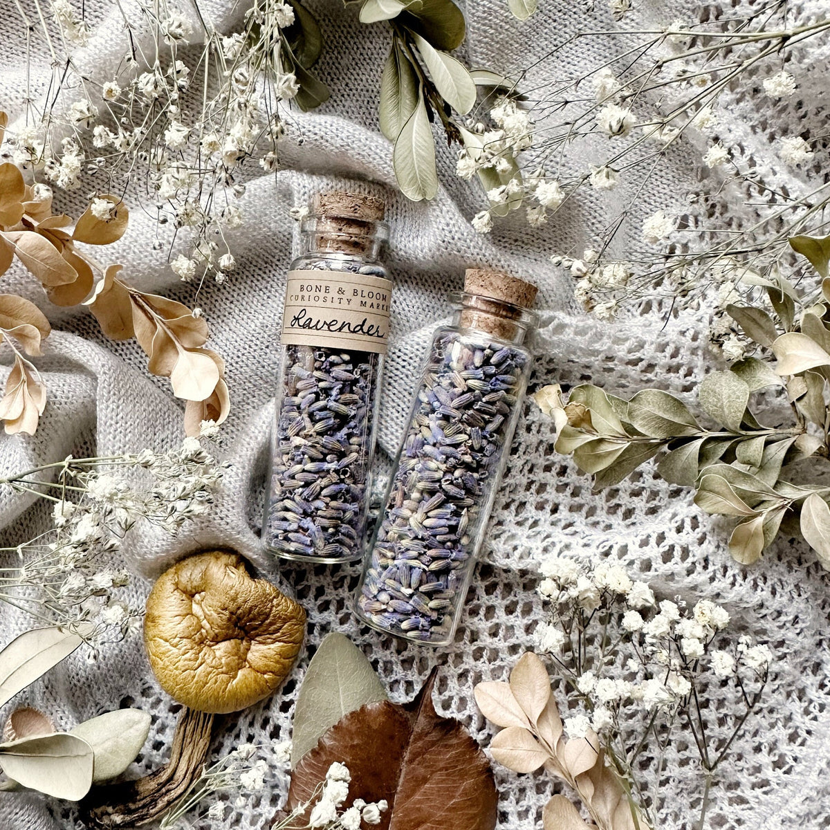 Dried Lavender Buds in Glass Vial
