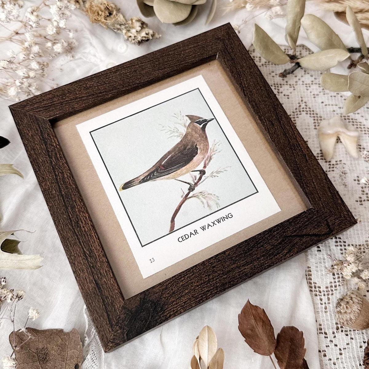 1931 The Cedar Waxwing – 4x4 Framed Vintage 1930's Bird Print