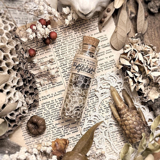Real Blackhead Python Snake Skin in Glass Vial