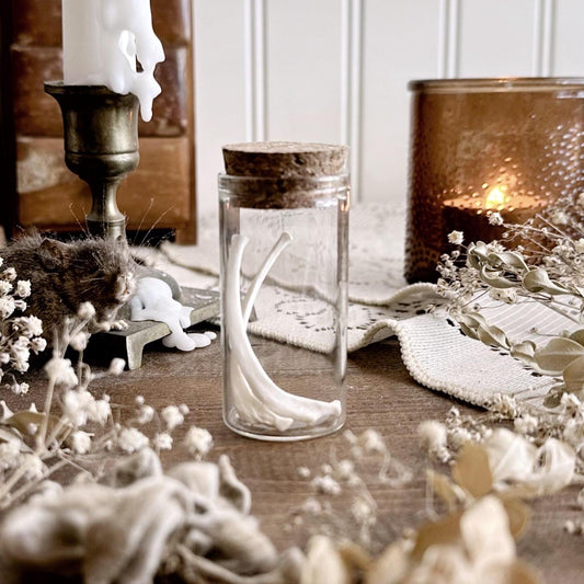 Real Fox Rib Bones in Glass Vial – No. 07