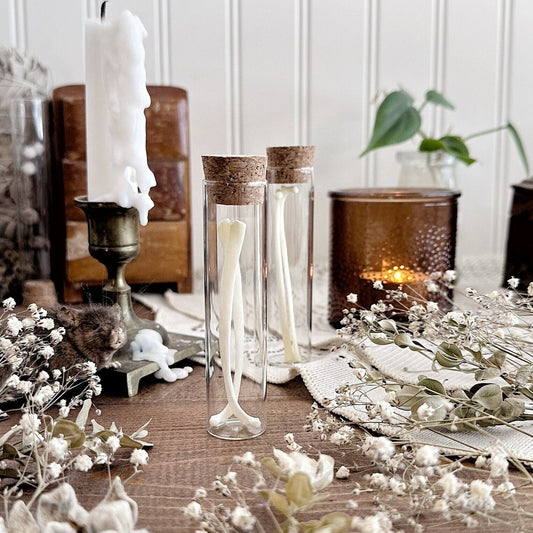 Real Fox Rib Bones in Glass Vial – No. 02