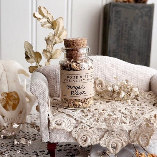 Dried Ginger Root in Glass Vial – No. 20
