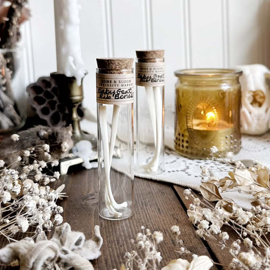 Real Baby Goat Rib Bones in Glass Vial – No. 01