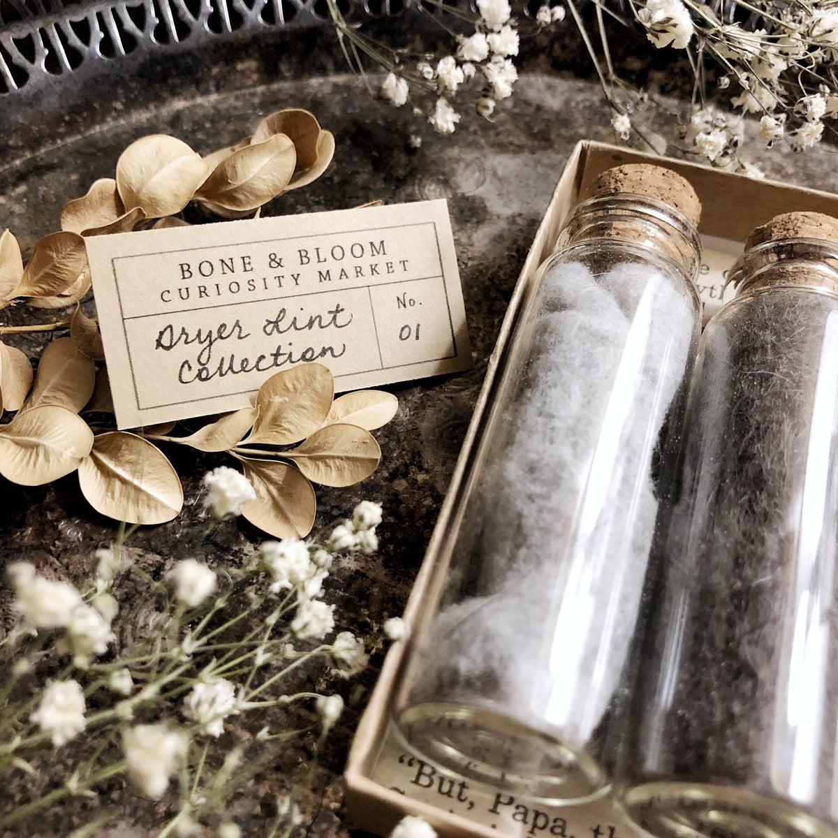 Dryer Lint Collection – No. 01