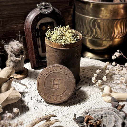 Vintage Rusty Snuff Tin, Dried Lichen – No. 01