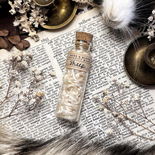 Natural White Sheep Wool Curls in Glass Vial