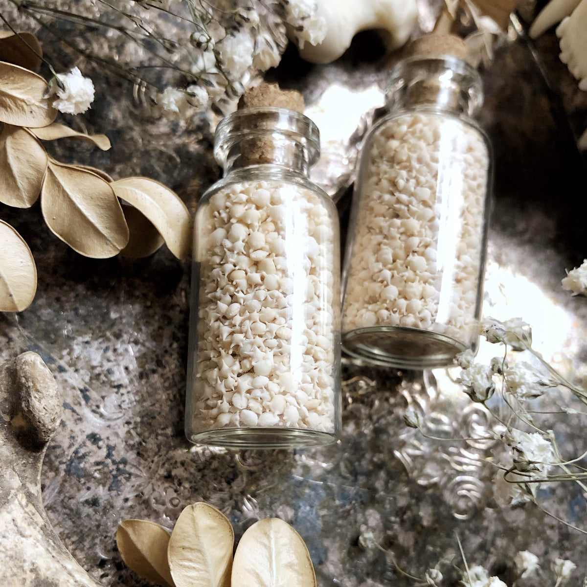 Real Hand Sorted Okinawa Star Sand in Glass Vial