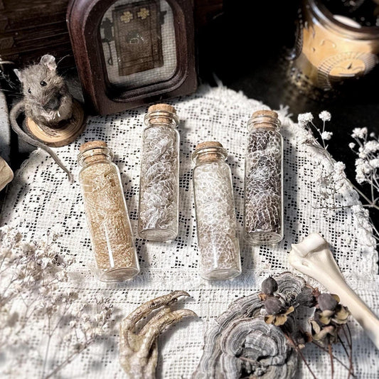 Real Mystery Snake Skin in Glass Vial, Unlabeled