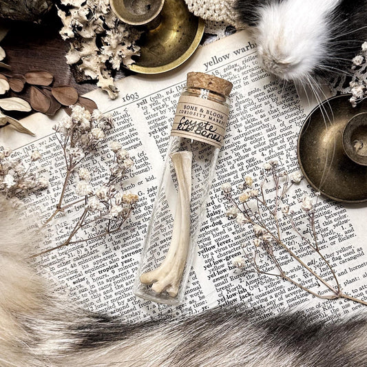 Real Rustic Coyote Rib Bones in Glass Vial – No. 01