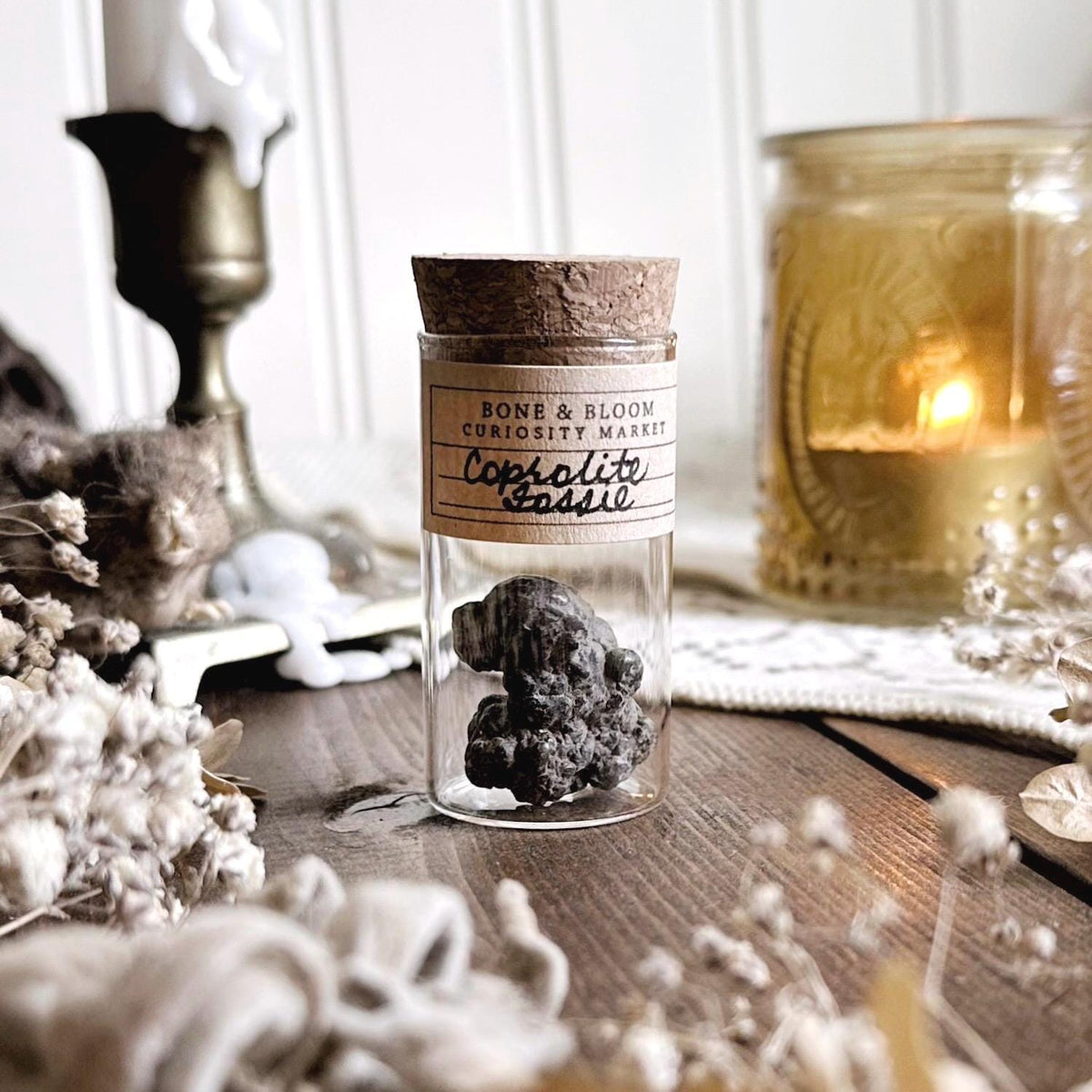 Real Petite Coprolite Fossil in Glass Vial – No. 16