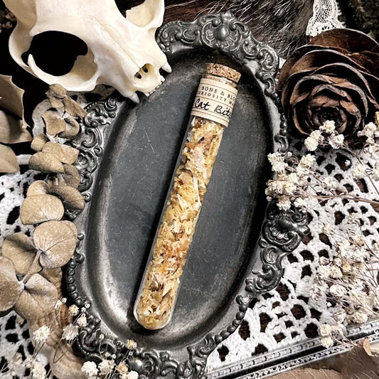 Real Cat Skull "Bits" in Glass Vial