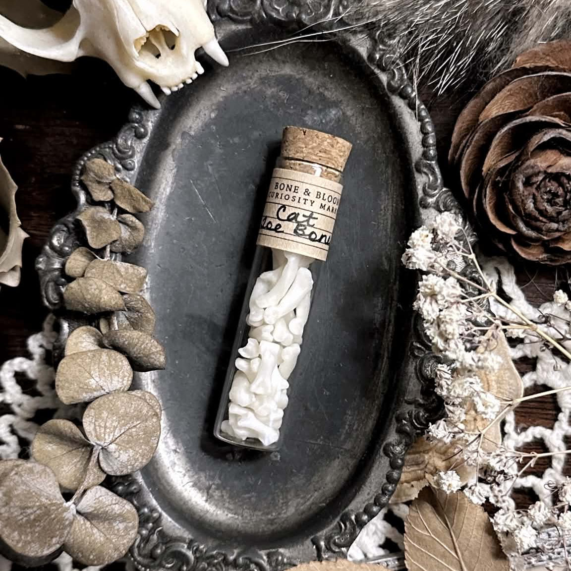 Real Cat Toe Bones in Glass Vial