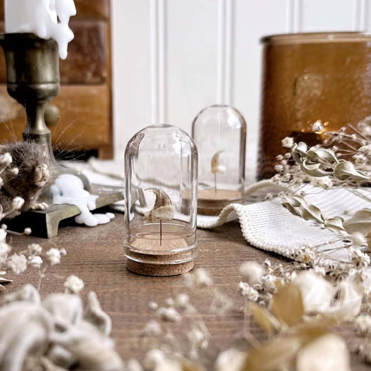 One Real Cat Claw in Mini Glass Dome