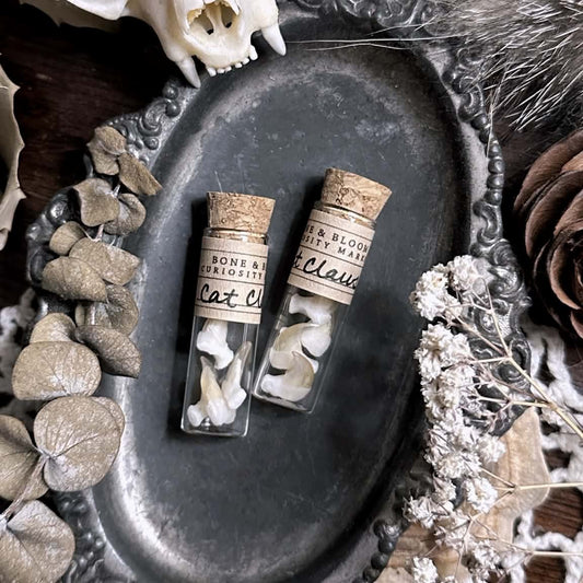 Real Cat Claws in Tiny Glass Vial