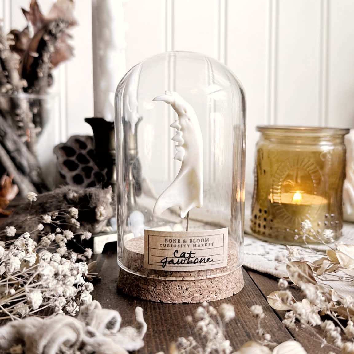 Real Cat Jawbone in Glass Dome