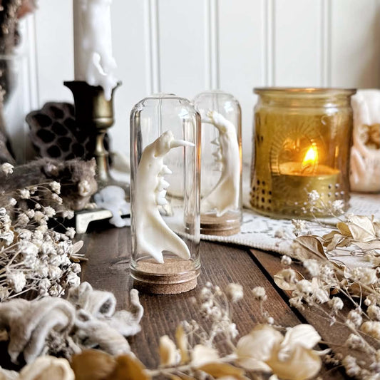 One Real Cat Jawbone in Glass Dome – No. 03