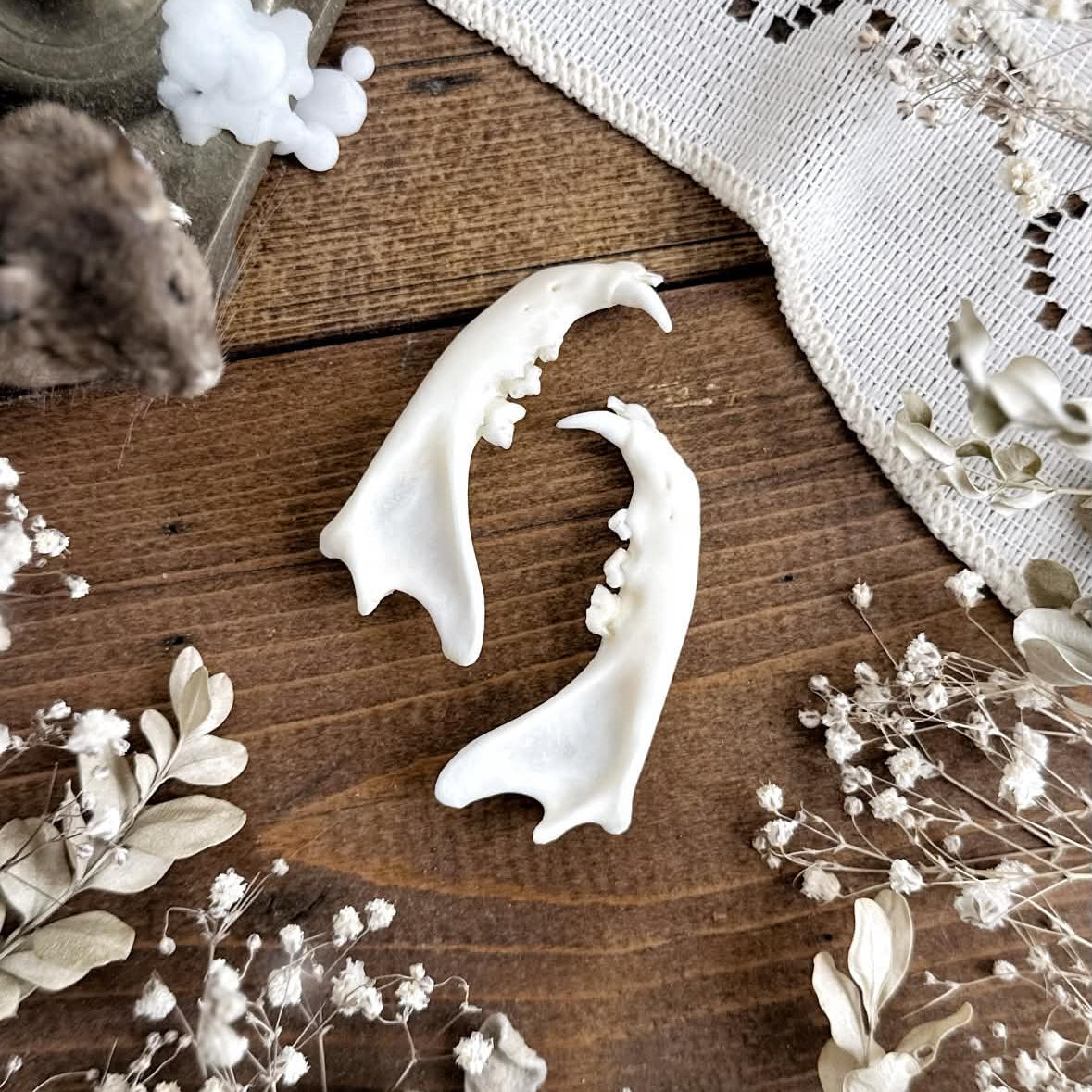 One Real Cat Jawbone