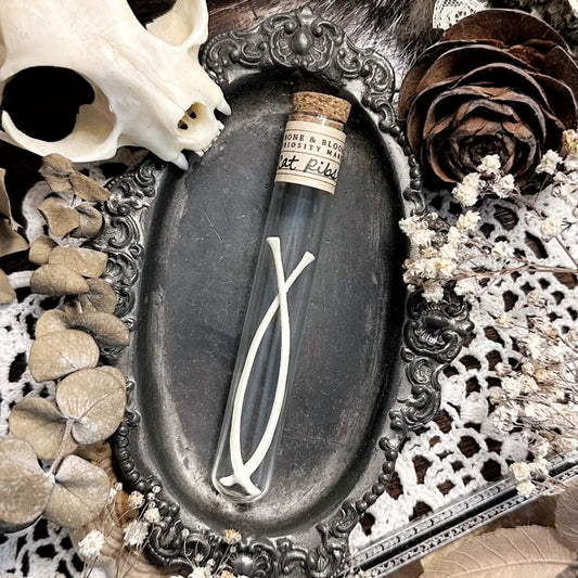 Real Cat Rib Bones in Glass Vial – No. 05
