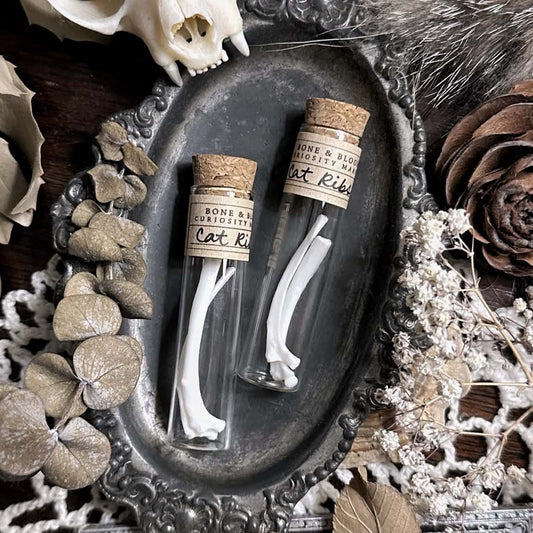 Real Cat Rib Bones in Glass Vial – No. 02