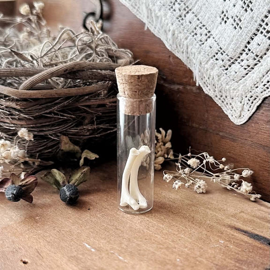 Real Tiny Cat Rib Bones in Tiny Glass Vial – No. 04