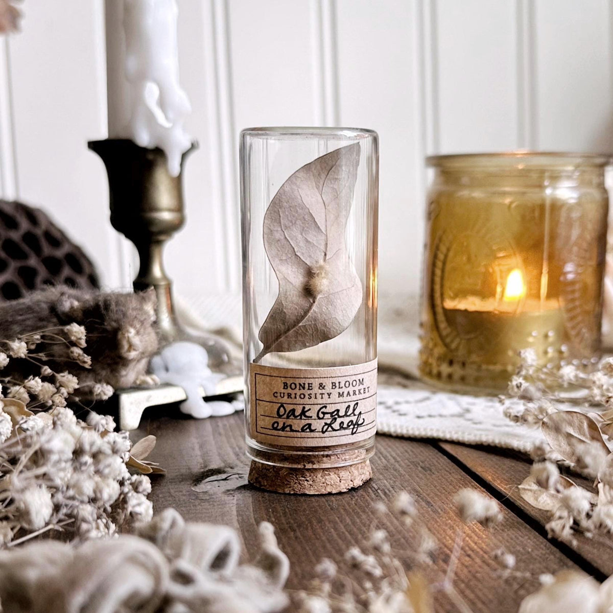 Petite Fuzzy Oak Gall on Dried Leaf in Glass Vial