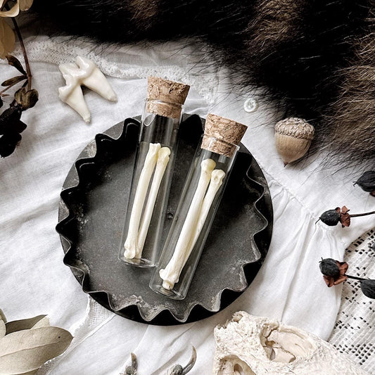 Real Opossum Foot Bones in Glass Vial – No. 01