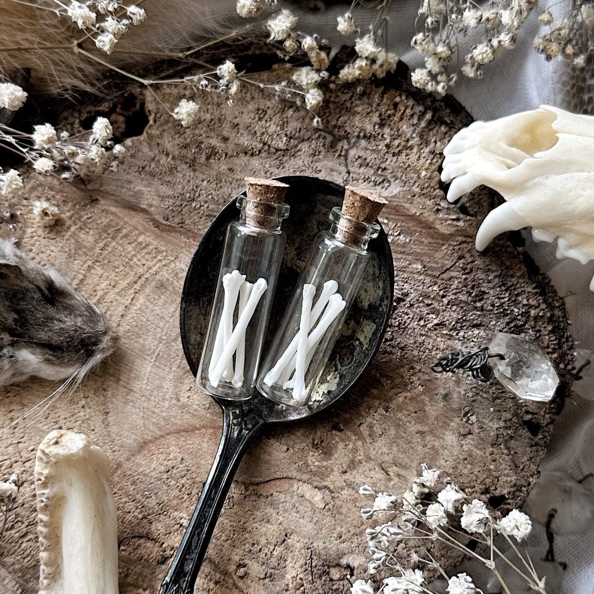 Real Tiny Squirrel Foot Bones in Glass Vial – No. 02