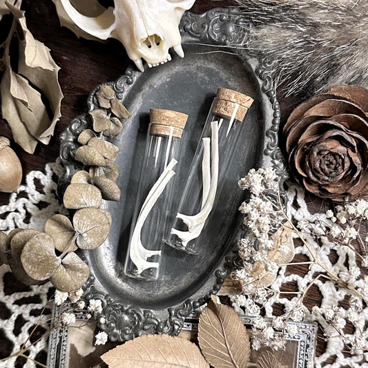 Real Rabbit Rib Bones in Glass Vial – No. 02