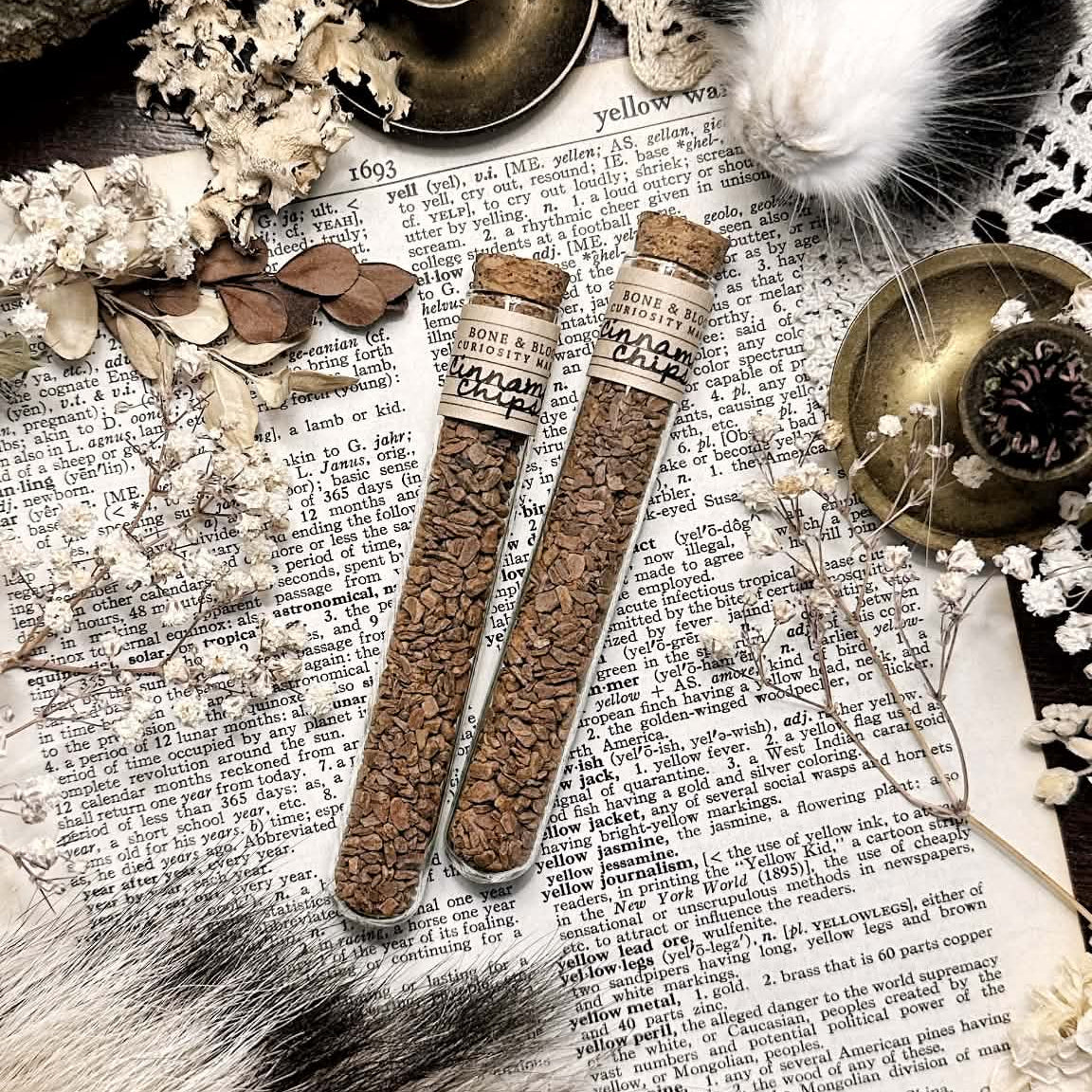 Dried Cinnamon Chips in Glass Vial