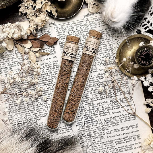 Dried Cinnamon Chips in Glass Vial
