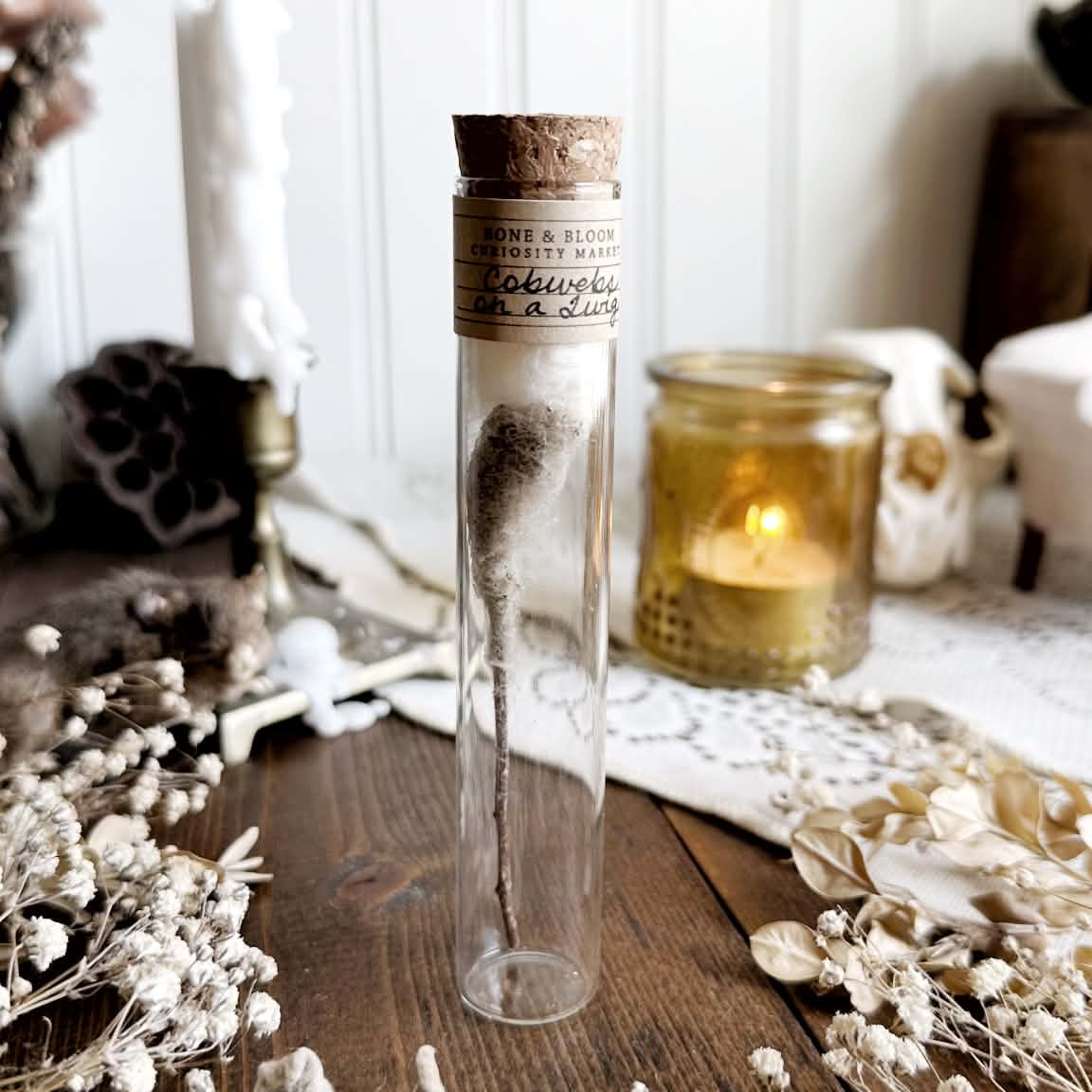 Real Cobwebs on a Twig in Glass Vial – No. 03
