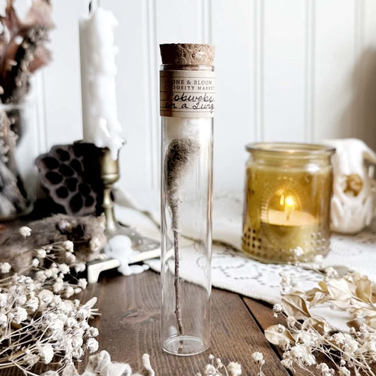 Real Cobwebs on a Twig in Glass Vial – No. 03