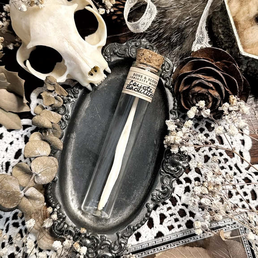 Real Coyote Baculum Bone in Glass Vial – No. 02 (Penis Bone)
