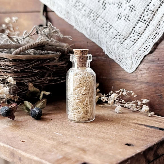 Real Dried Cuticle Clippings in Glass Vial