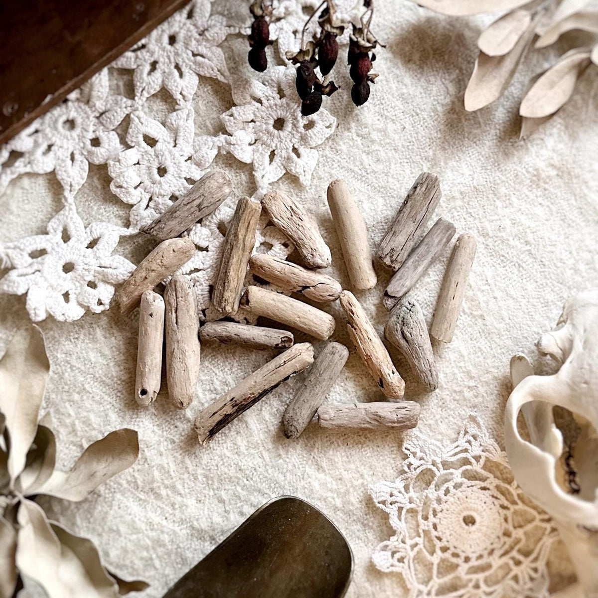 Natural Oregon Driftwood Collection – No. 18