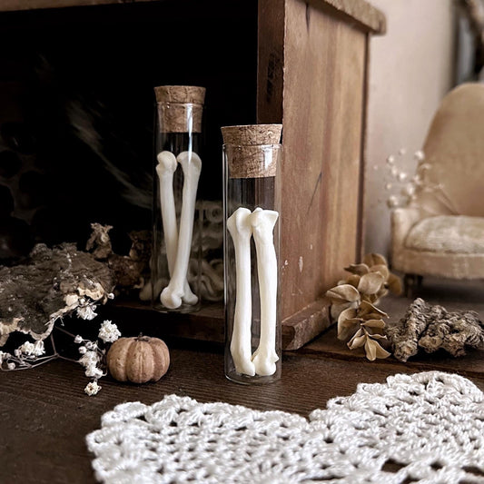 Real Bobcat Foot Bones in Glass Vial – No. 01