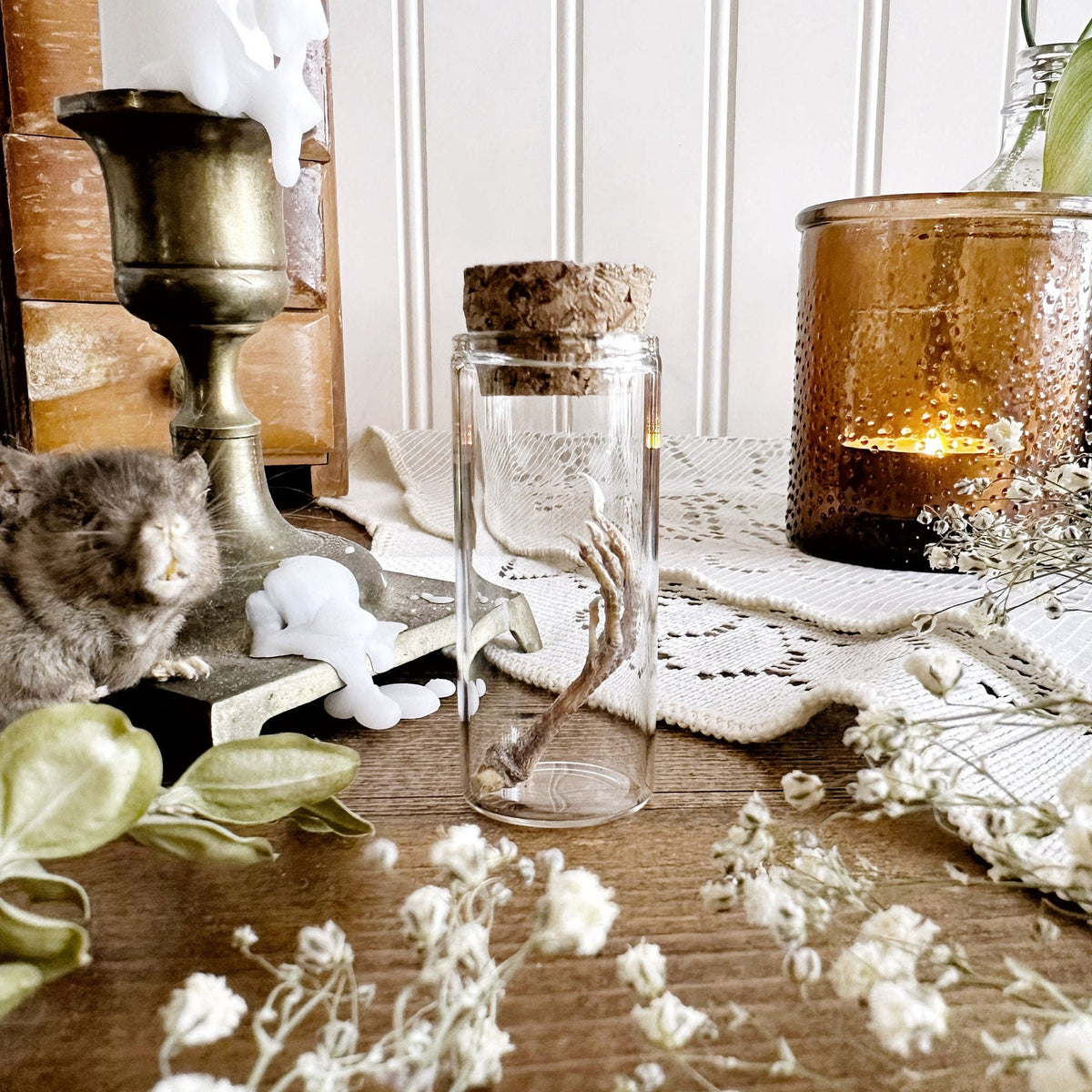 Real Baby Chicken Foot in Glass Vial – No. 02