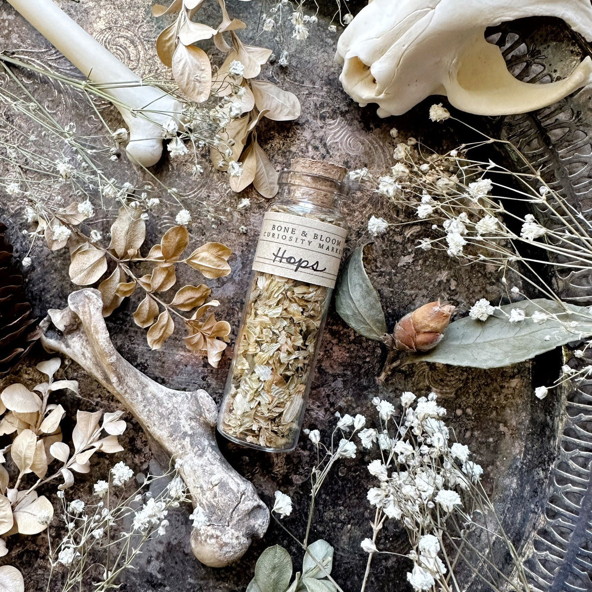 Dried Hops Petals in Glass Vial