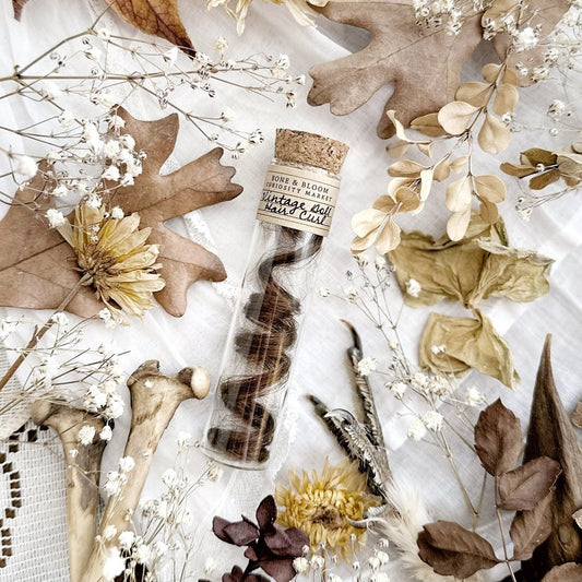 Vintage Doll Hair Curl in Glass Vial – No. 01, Dark Brown