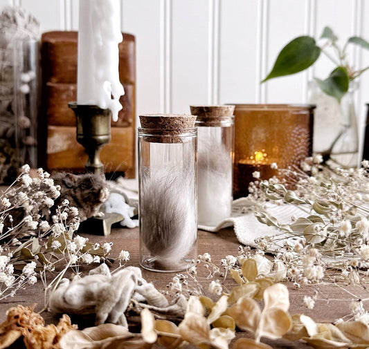 One Real Brown & White Rabbit Tail in Glass Vial – No. 06