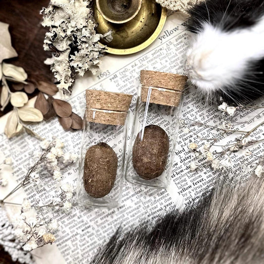 One Real Dried Moose Pellet in Glass Vial