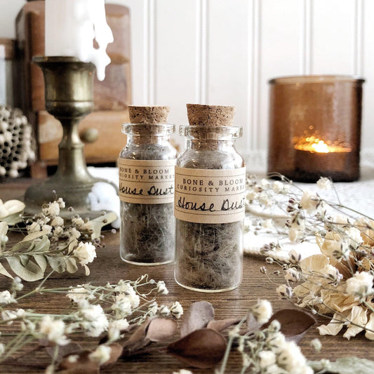 House Dust in Glass Vial