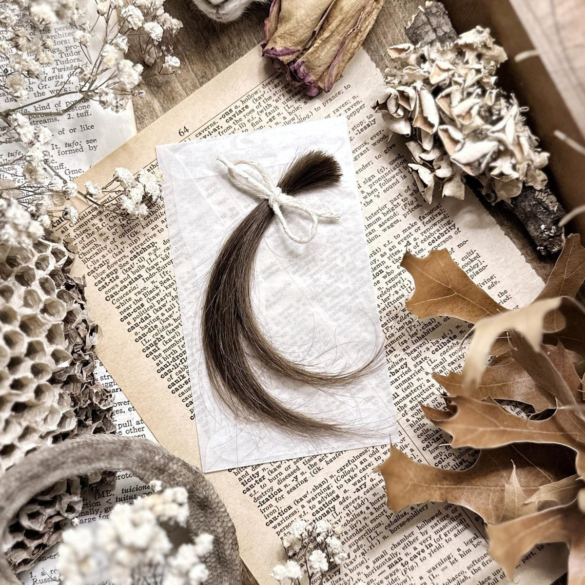 Lock of Human Hair – No. 01