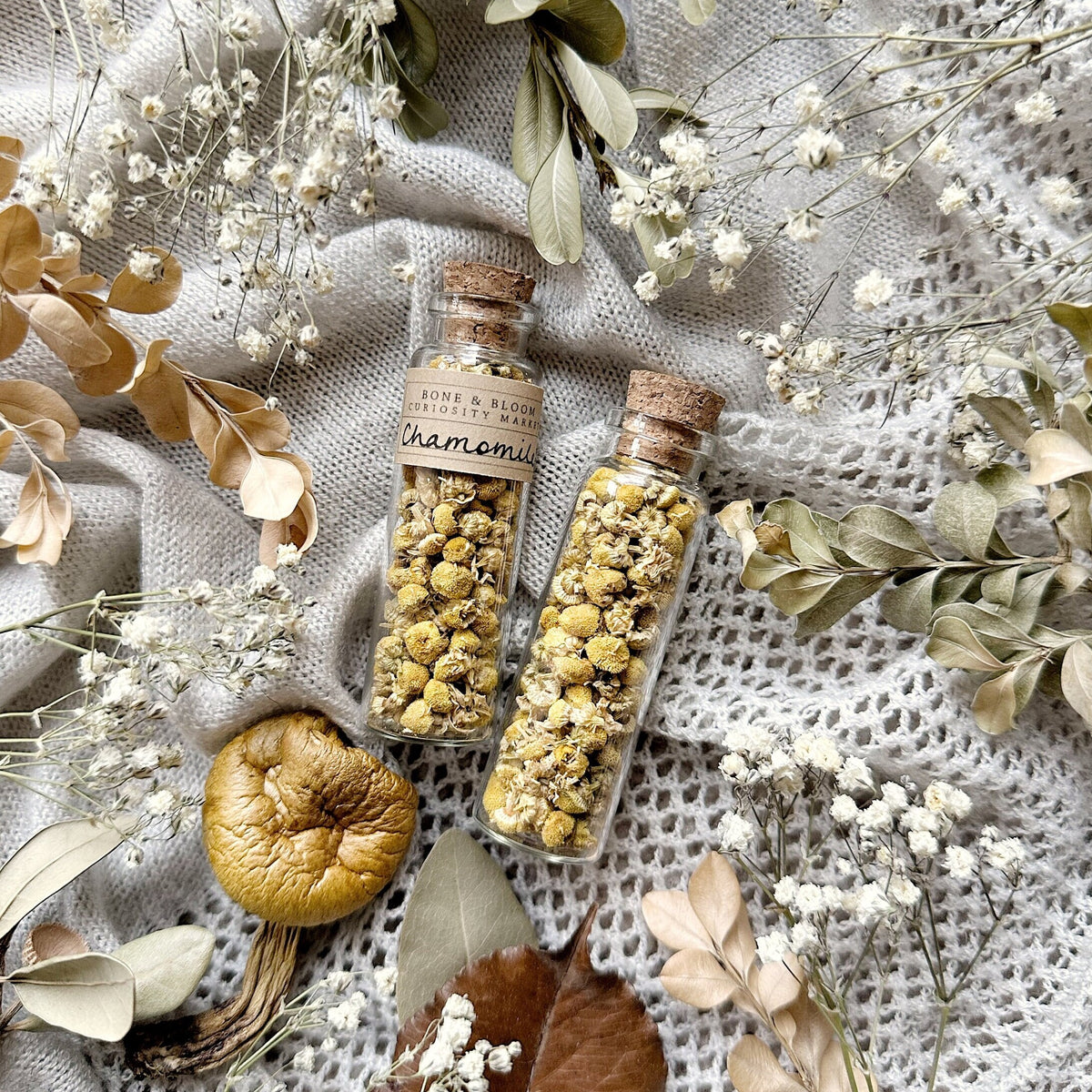 Dried Chamomile Buds in Glass Vial
