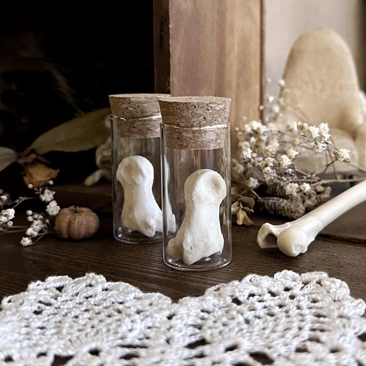 One Real Deer Knuckle Bone in Glass Vial – No. 02