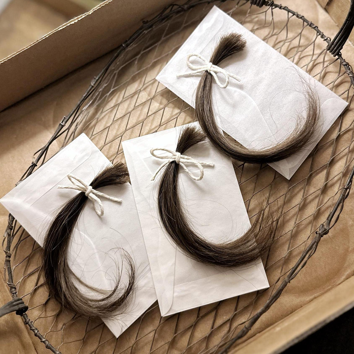 Lock of Human Hair – No. 01