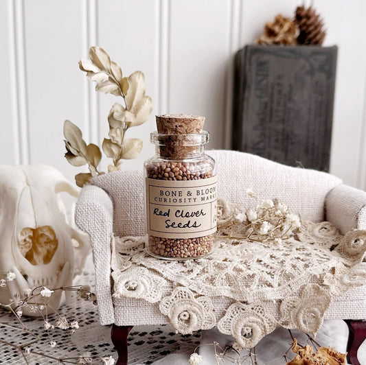 Dried Red Clover Seeds in Glass Vial – No. 101