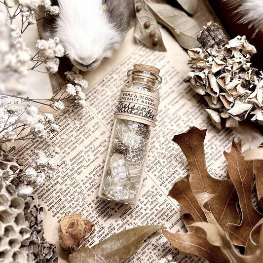 Real Nelson’s Milk Snake Skin in Glass Vial